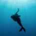 ScubaLuis Cozumel (@scubaluisczm) Twitter profile photo ScubaLuis Cozumel (@scubaluisczm) Twitter profile photo