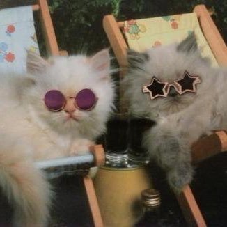 Missy_Miss_5's profile picture. LGBT+, Edinburgh (she/her) 🏴󠁧󠁢󠁳󠁣󠁴󠁿🏳️‍🌈🏳️‍⚧️