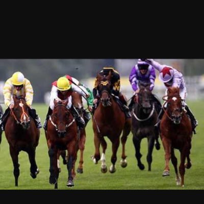 giving out our horse betting tips daily! singles, doubles and lucky 15 bets