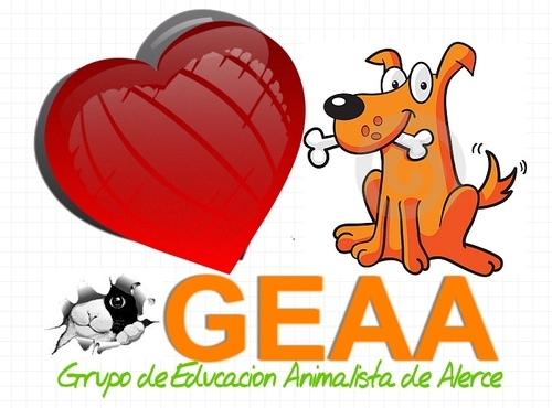 Geaa_Alerce's profile picture. 