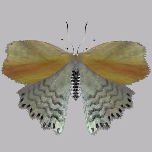 I write code, play games, pick locks, and drink beer. Pretty stereotypical I guess. He/Him. (profile pic made by @mothgenerator)