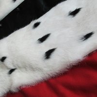 PG CA Rennes (@pg_ca_rennes) 's Twitter Profile