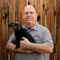 At Home Dog Training(@dogtrainer_LV) 's Twitter Profile Photo