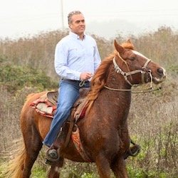 bullsbridge's profile picture. 