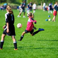 Steve Anderson (@skcmanderson) 's Twitter Profile Photo