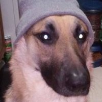 BigKuhfahl (@bigkuhfahl) 's Twitter Profile
