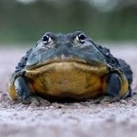 Jeremy Rennick (@jrrennick) 's Twitter Profile