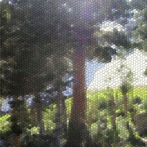 Lisa Donohoo Profile