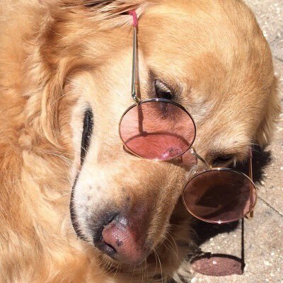 bagelpantz's profile picture. still looking for 750+ piece puzzles