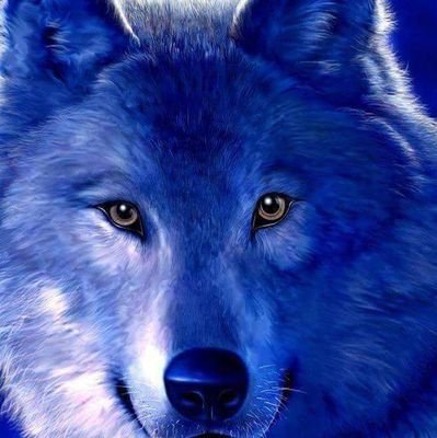 LyEdayan's profile picture. 