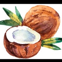 Kevin (@kevinscoconuts) 's Twitter Profile