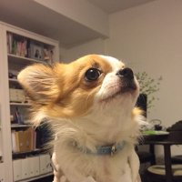 窪木竜也 (@takuboqui) 's Twitter Profile