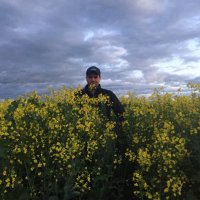 Tim Sweeny (@timsweeny808) 's Twitter Profile Photo Tim Sweeny (@timsweeny808) 's Twitter Profile Photo