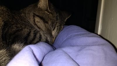 piperx51's profile picture. I am into Arts & Culture, Basketball,pop Music and fun.