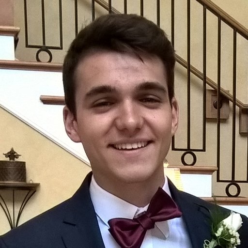 gogonimago's profile picture. ufenhiemer retweeted me once