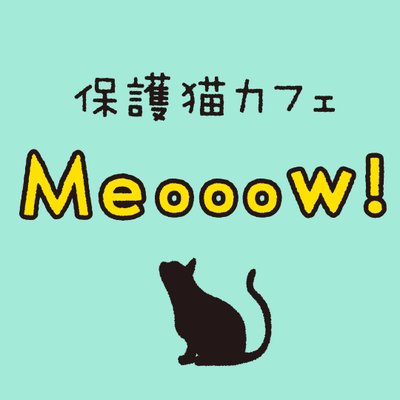 保護猫カフェ Meooow Meooow Cat1123 Twitter