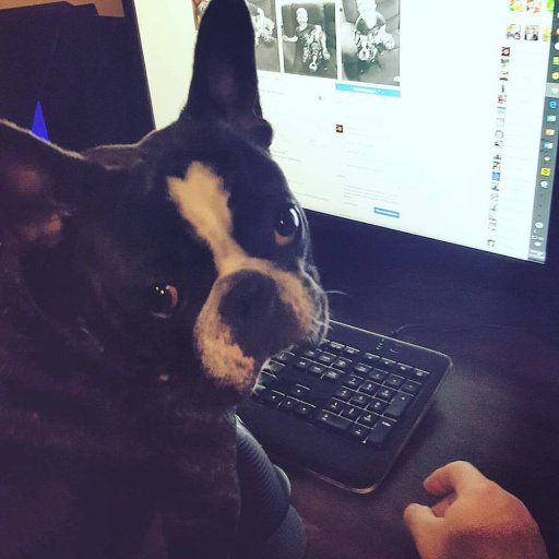 fullyautoANN's profile picture. PNW Blogger