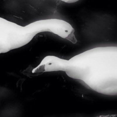 judithwesch's profile picture. Le Figaro photo editor