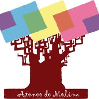 Ateneo de Molina (@ateneomolina) 's Twitter Profile