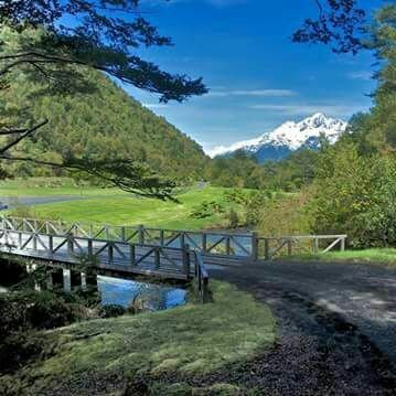 ericabealegre's profile picture. Carpe Diem