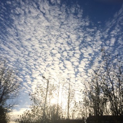 f51_alison's profile picture. Kidney transplant in 1999, so clinically extremely vulnerable. Married.