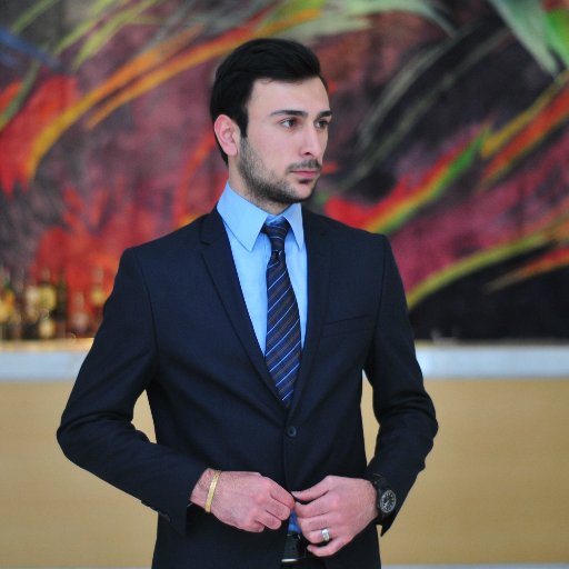 T_Kikishvili's profile picture. Graduate student at Willy Brandt School of Public Policy