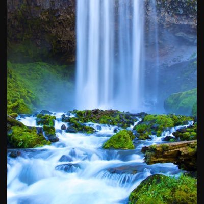 Ahmetah35378645's profile picture. 