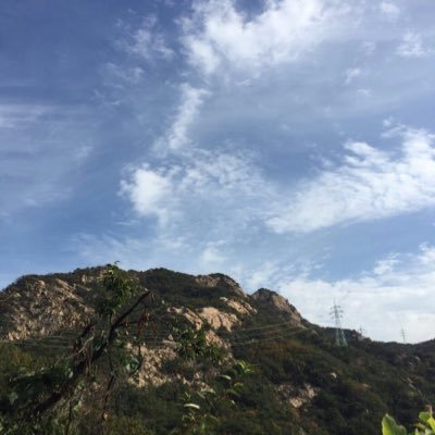 huabeabea's profile picture. 