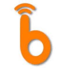 Get the complete blogging and money making sutra online.