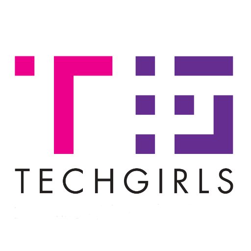 TechGirls focuses on bridging the skills and gender gap within the digital sector through delivering interactive STEM workshops.