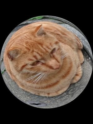 numberstring_1's profile picture. 海は広いなー大きいなー