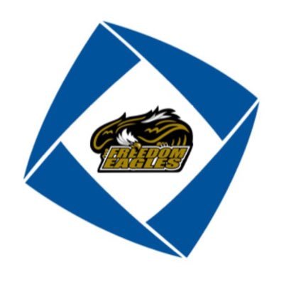 OFFICIAL FREEDOM HIGH SCHOOL DECA ACCOUNT FOR THE 2019-20120 SCHOOL YEAR #MONEYTEAM #3HUNNA #PAINANDANGUISH Instagram: @fhseaglesdeca