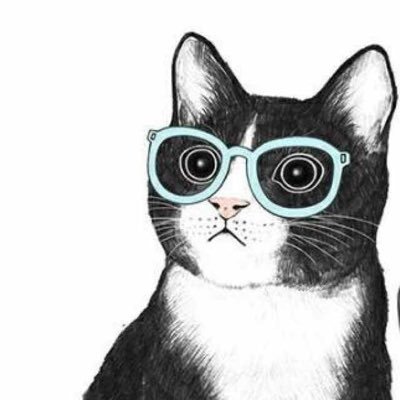 baojh999's profile picture. 
