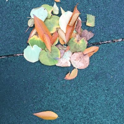 appleelog's profile picture. 