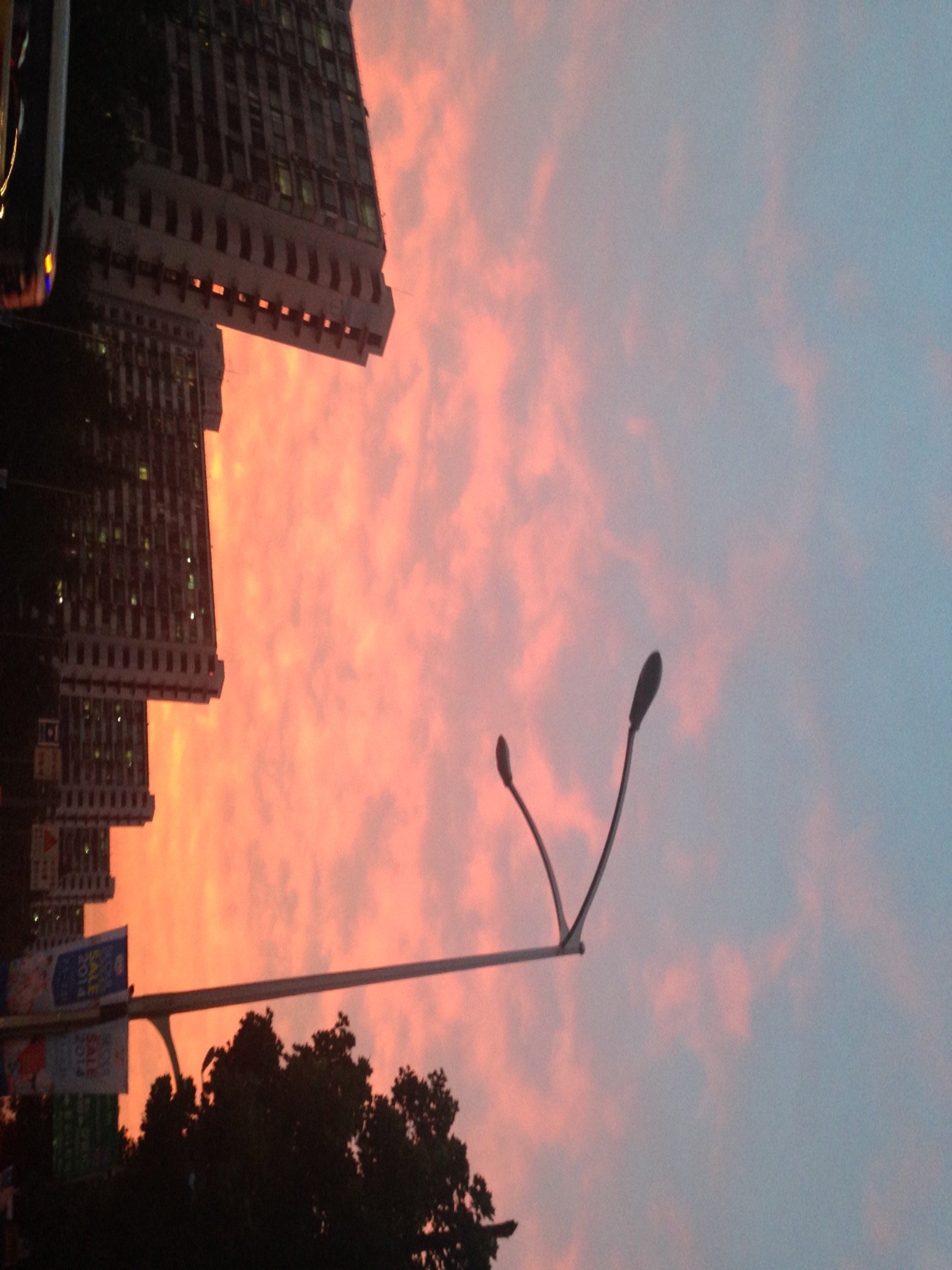 yshalex's profile picture. 