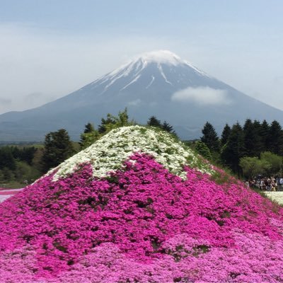 rrbrace's profile picture. ✨