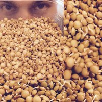 Rafael Giusti (@rjgiusti) 's Twitter Profile