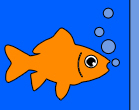 learn how to take care of a goldfish and goldfish accessories in your goldfish bowl, aquarium or pond.