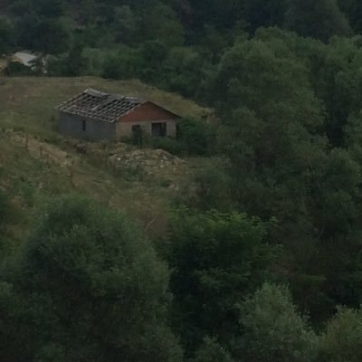 peeg93's profile picture. 