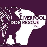 LiverpoolDogRescue(@LDR1990official) 's Twitter Profileg