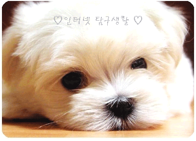 안녕하세요~!! 인터넷 탐구생활 트윗입니다^^
LG텔레콤,sk브로드밴드,KT QOOK  
전국 어디든 신청 or 상담 or 문의 가능합니다~^^
인터넷 정보,최신소식,사은품현황을 실시간으로!!
* 팔로우 해주세요~^^
