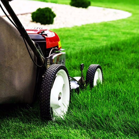 Mowing Services, Commercial Mowing, Residential Mowing