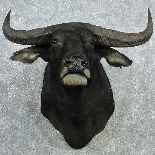 JillyCold's profile picture.