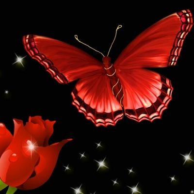 DaySueday62's profile picture. Rovers till I die. Always Tranmere.