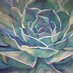 Dawn Hebig (@oll_hebig) Twitter profile photo Dawn Hebig (@oll_hebig) Twitter profile photo