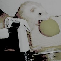 cave johnson (@scfescience) 's Twitter Profile