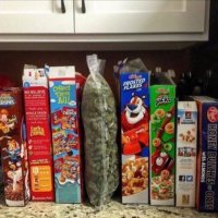 Exotic Smokez (@smartbud_plug) 's Twitter Profile