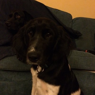 cs70100908's profile picture. ...