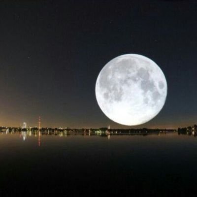 salehalmarzoog's profile picture. ‏‏لآ شَيء يبقى للأبد . فَ كُل شَيء إمّآ أن يتغيّر أو يرحَل .. !