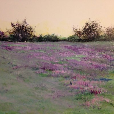I live in Stonington, Connecticut where I practice law, garden, and make affordable art that I show throughout New England See it at https://t.co/jsbGE4tAjB